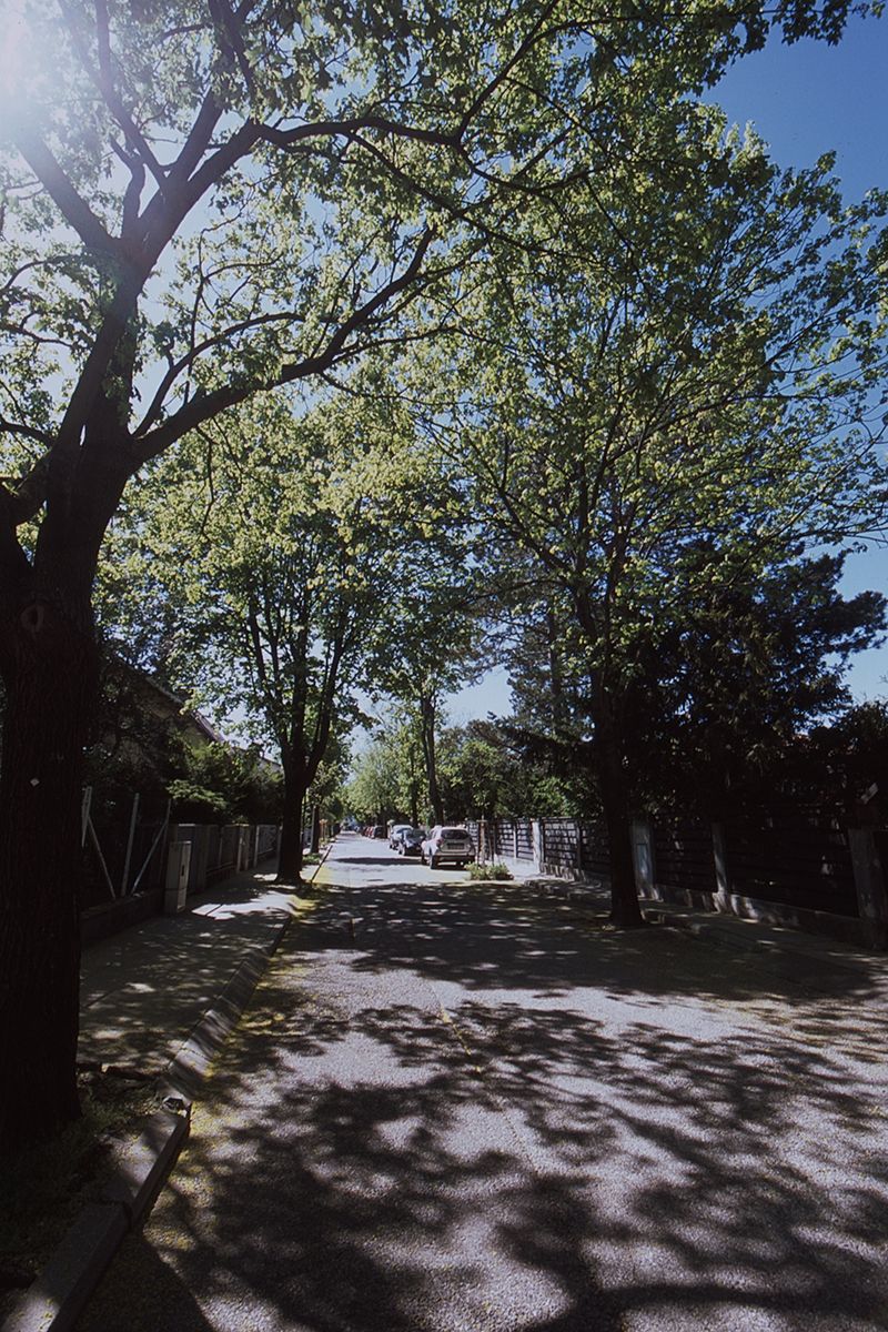 nikon f5, fujifilm provia 100, film