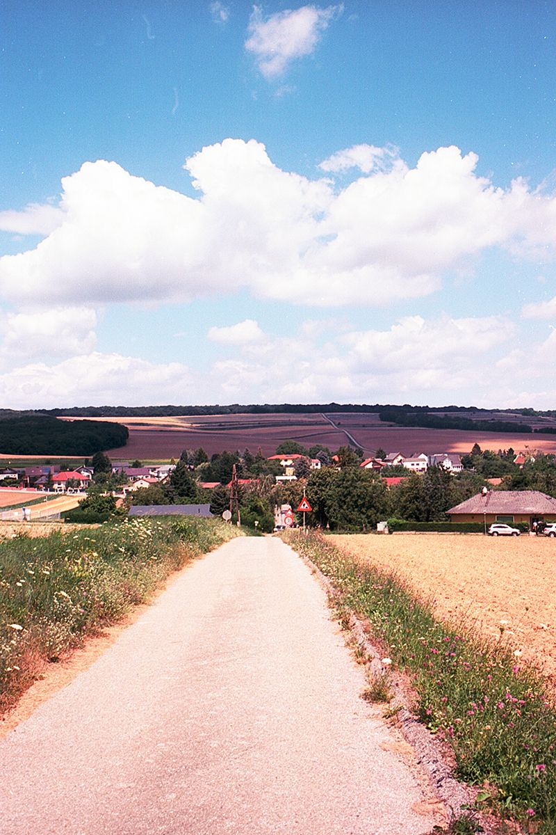 nikon f, kodak ektar 100, film