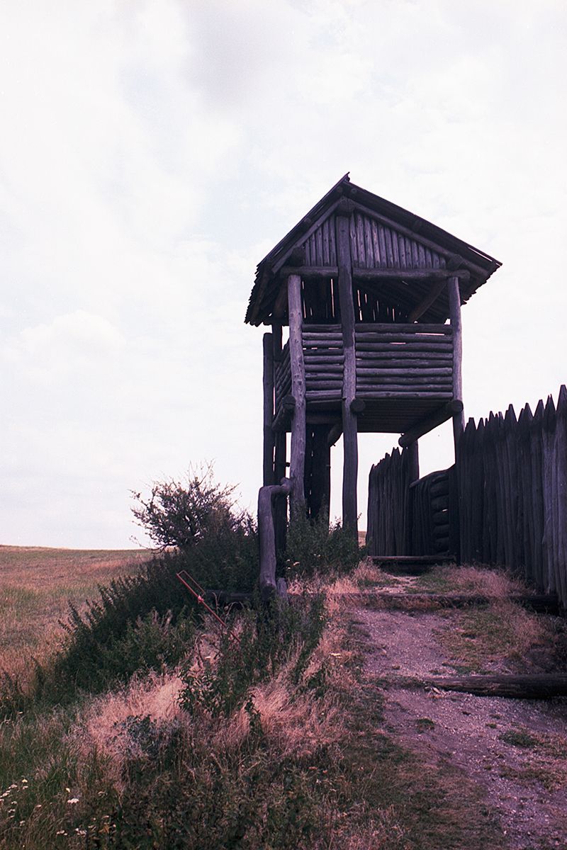 nikon f, kodak ektar 100, film