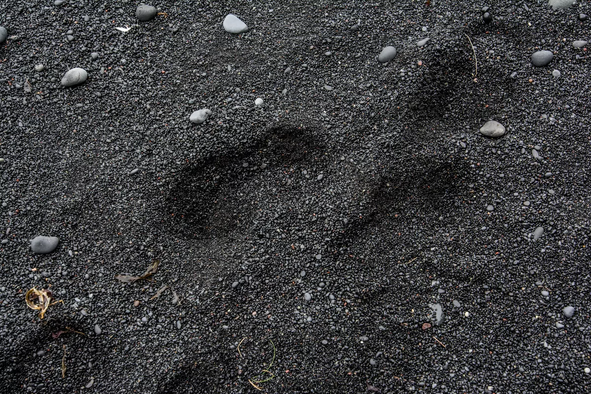 Black Sand Beach